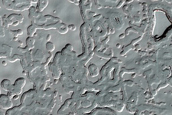 South Polar Change Monitoring