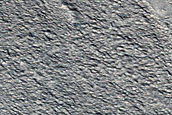 Proposed Site for Future Exploration in Phlegra Montes