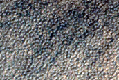 Dune Survey