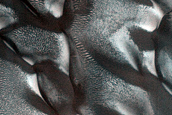Dune Monitoring in Crater