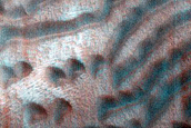 Dune Monitoring in Crater