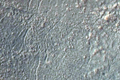 Gully Monitoring