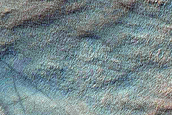 Gully Monitoring