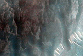 Dune Survey