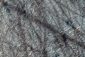 Crater Rim Seasonal Activity
