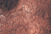 Secondary Crater Field Texture near McMurdo Crater