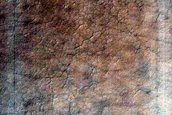 USGS Dune Database Entry Number 1741-670