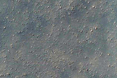 Dune Survey