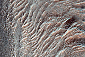 Gully Monitoring