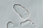 South Polar Residual Cap Site