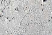 Young Outflow in Echus Chasma