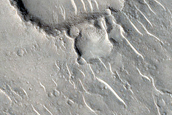 Sample in Isidis Planitia