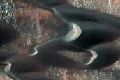 Dune Survey