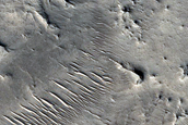 Ridges in Northeast Arabia Terra