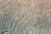 Gully Monitoring
