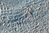 Gullied Crater