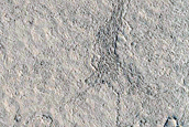 Flow in South-Central Elysium Planitia