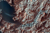 Dune Field