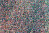 Dune Survey