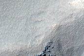 Large Gully Alcove in Ross Crater