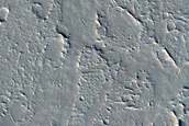 Flow in Tharsis Region