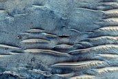Dune Field