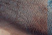 Dune Field