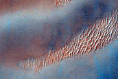Dune Field