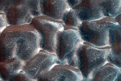 Dune Monitoring in Crater