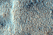 Channels on Rim of Newton Crater