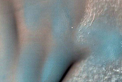 Dune Field