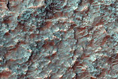Dune Field