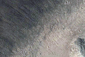 Looking for Gullies