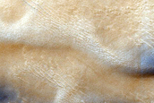 Dune Field