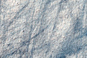 Dust Devils Monitoring in High Latitudes