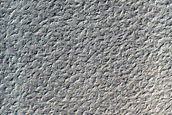 Dune Field