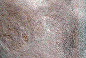 Dune Field