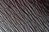 South Polar Terrain