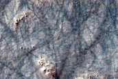 Dune Field