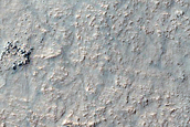 Dust Devil Monitoring Region