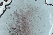 South Polar Residual Cap Monitoring Site