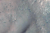 Dune Field