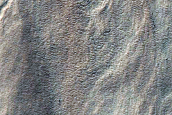 Gully Monitoring