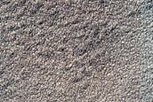 Possible Compound Dune in USGS Dune Database Entry Number 1161-770