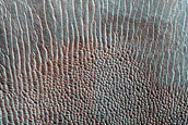 Dune Monitoring in Crater