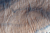 Irregular Cellular Structures around Crater in Southern Mid-Latitudes