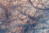 Dune Survey