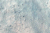 Dust Devil Tracks