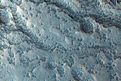 Channels and Brain Terrain in Arabia Terra