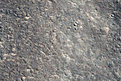 Positve-Relief Feature in Nepenthes Planum